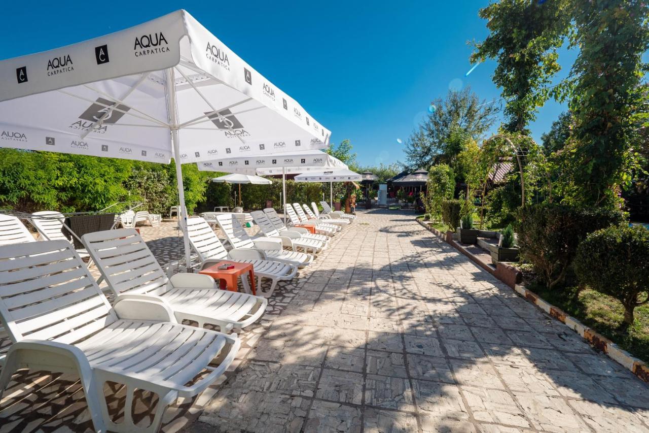 Pension Motanul Galanton Snagov Bagian luar foto
