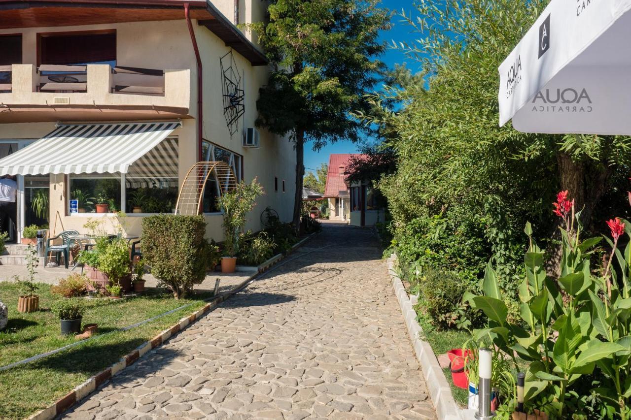Pension Motanul Galanton Snagov Bagian luar foto