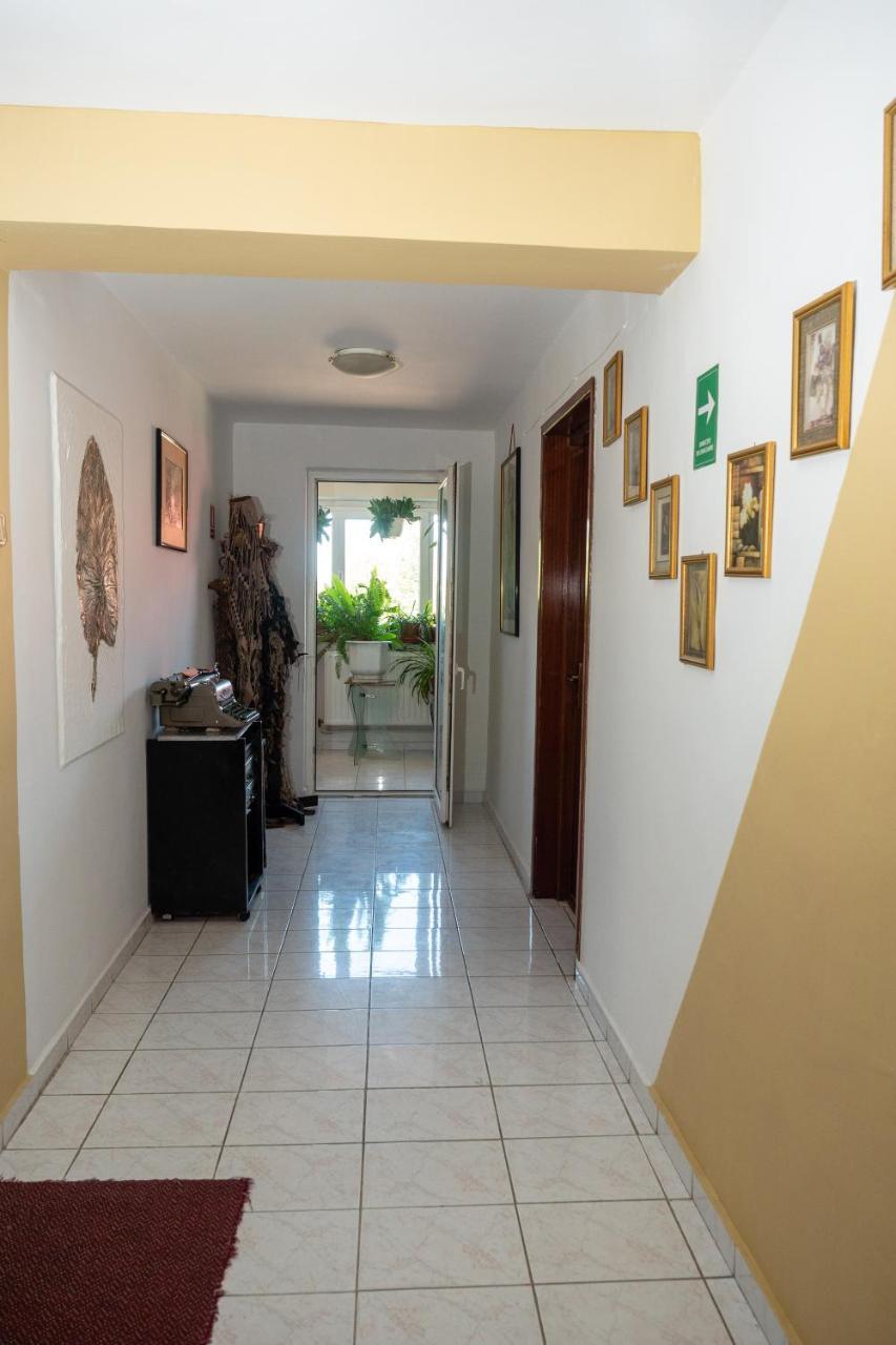 Pension Motanul Galanton Snagov Bagian luar foto